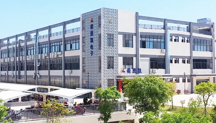 bụng