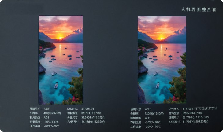 Màn hình LCD 4,95